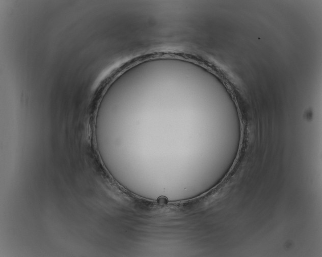 X0000090871262200708241913