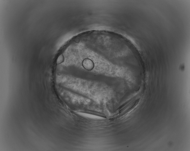 X0000090871263200708241913