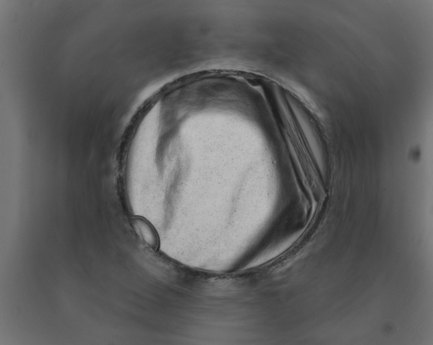 X0000090871264200708241913