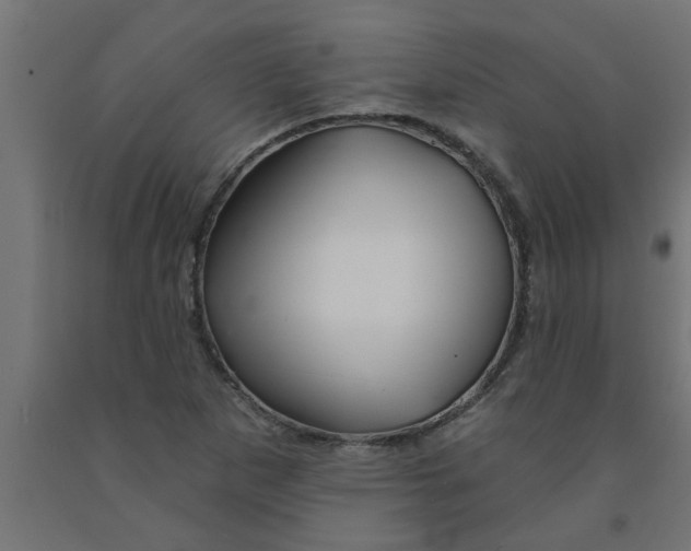 X0000090871265200708241913