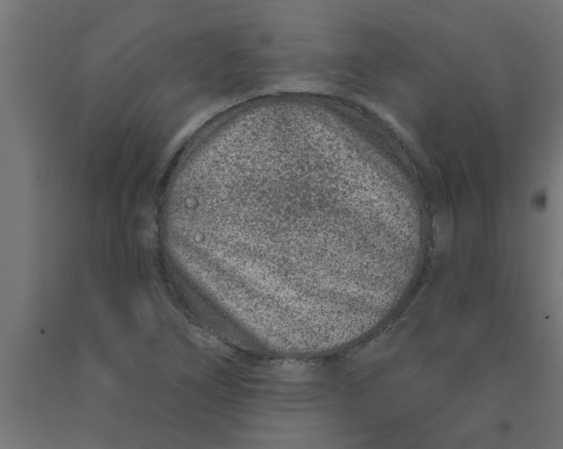 X0000090871266200708241913