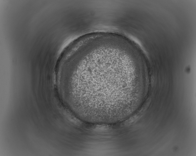 X0000090871267200708241913