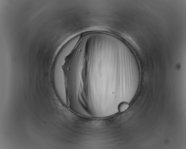 X0000090871268200708241913