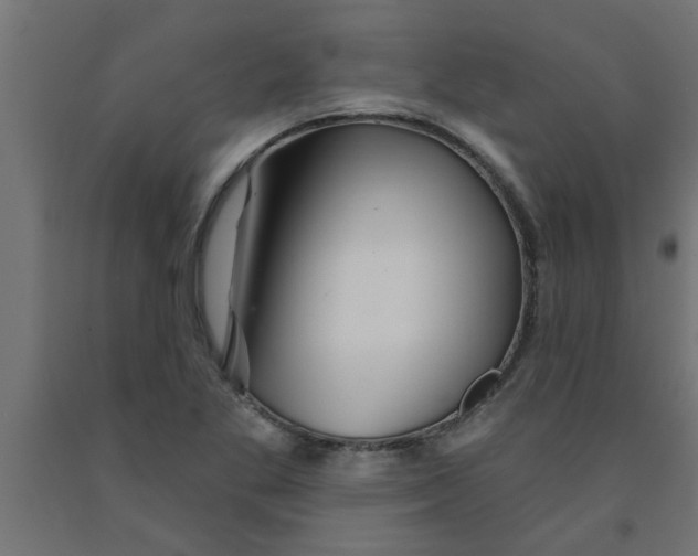 X0000090871269200708241913