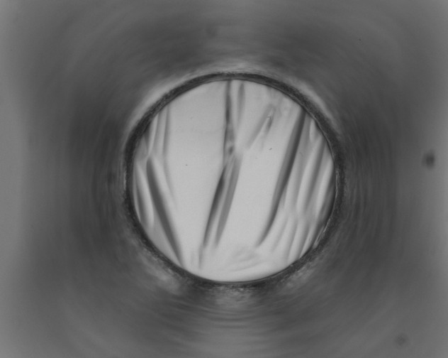 X0000090871270200708241912