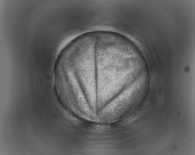 X0000090871271200708241912