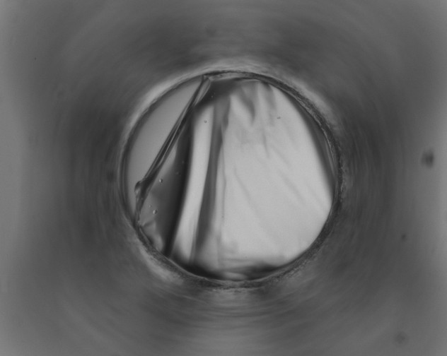 X0000090871272200708241912