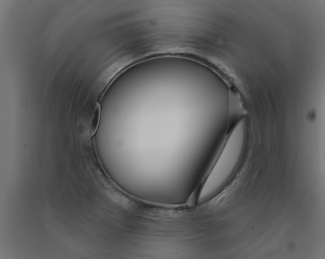 X0000090871273200708241912