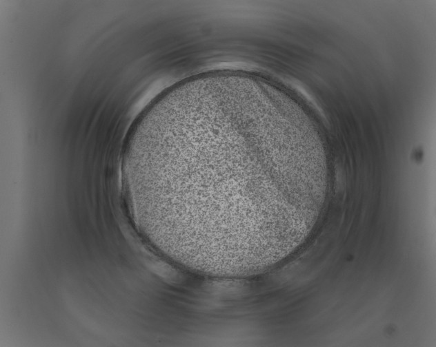 X0000090871274200708241912