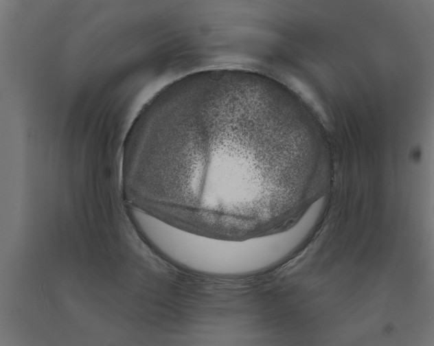 X0000090871275200708241912