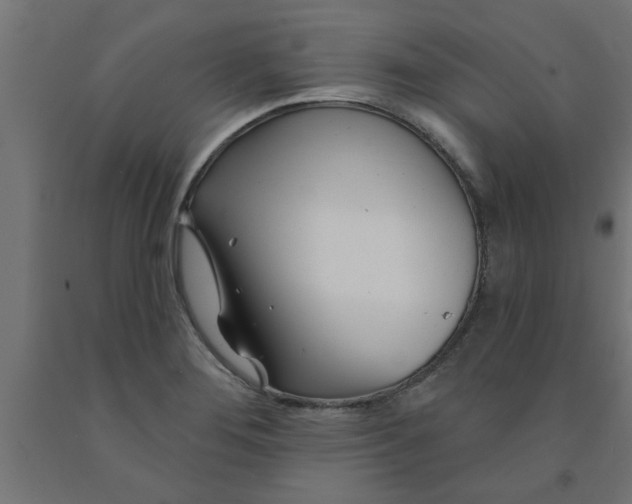 X0000090871276200708241912