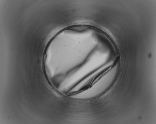 X0000090871277200708241912