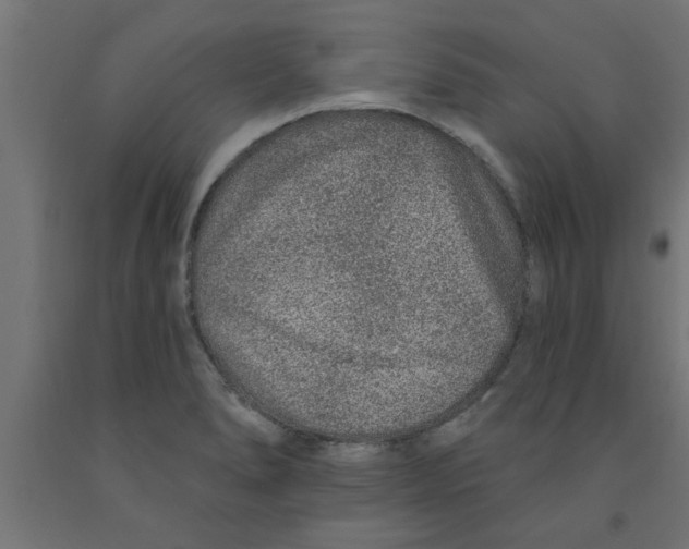 X0000090871278200708241912