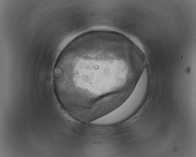 X0000090871279200708241912