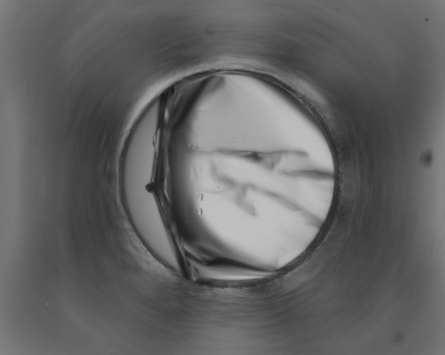 X0000090871280200708241912