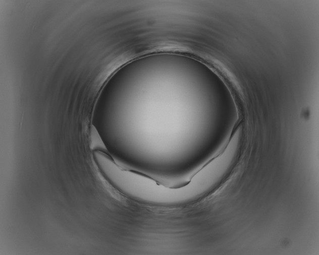 X0000090871281200708241912