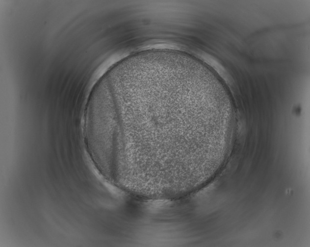 X0000090871282200708241912