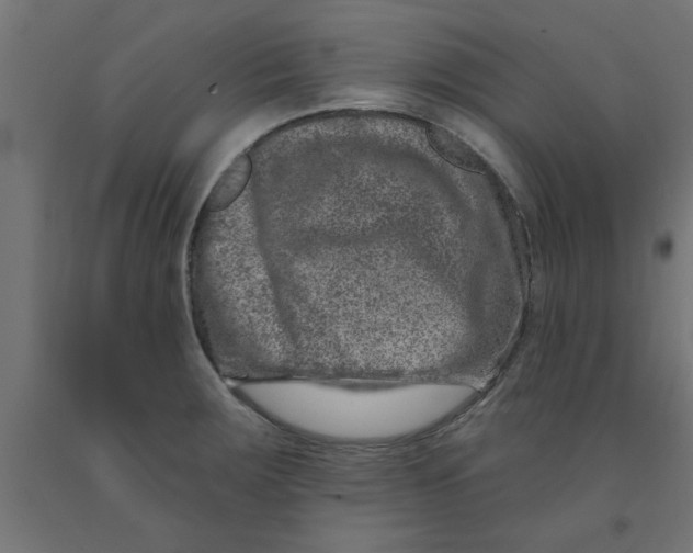 X0000090871283200708241912