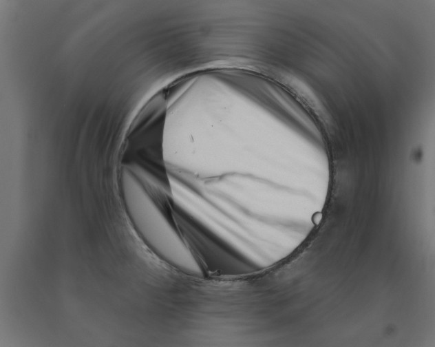 X0000090871284200708241912