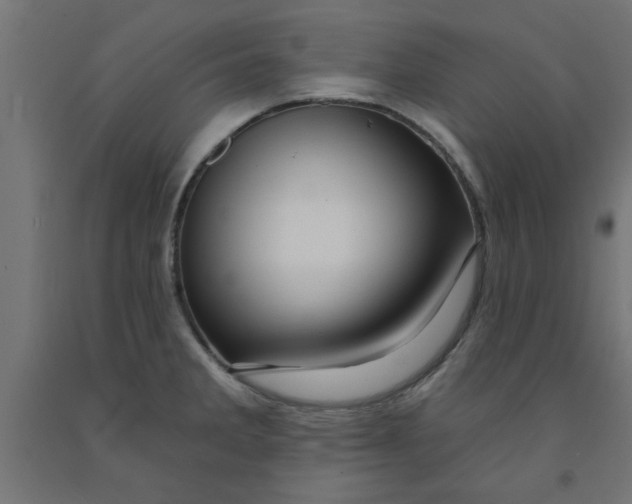 X0000090871285200708241912