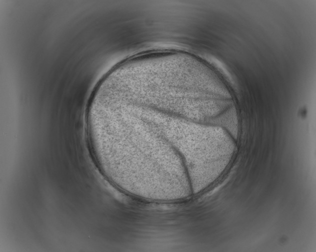 X0000090871286200708241912