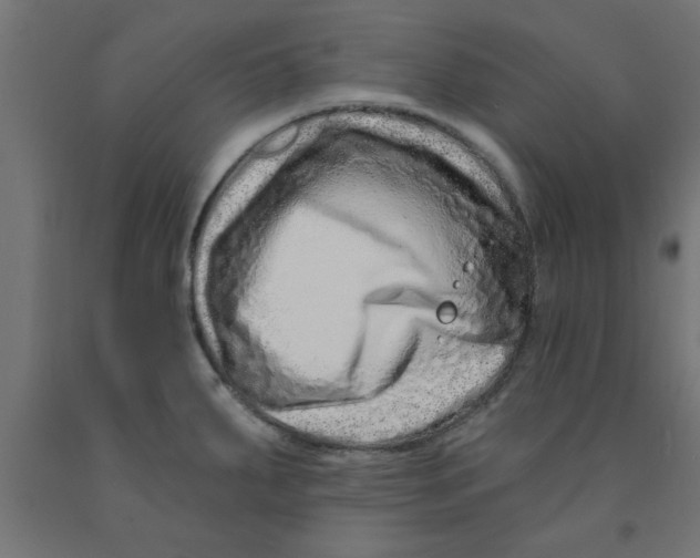 X0000090871287200708241912