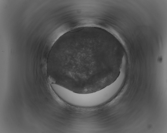 X0000090871289200708241912