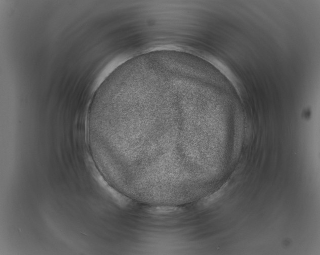 X0000090871290200708241912