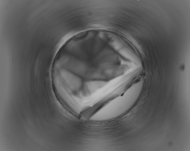 X0000090871291200708241912