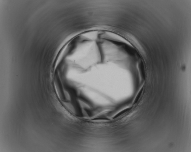 X0000090871292200708241912