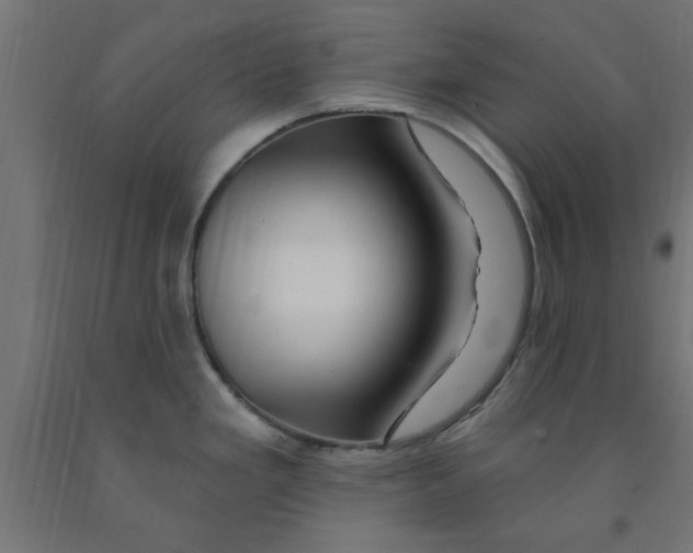 X0000090871293200708241912