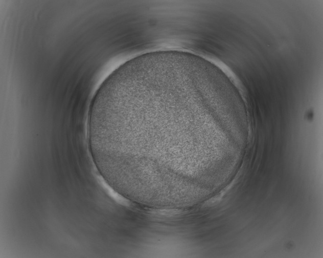 X0000090871294200708241912