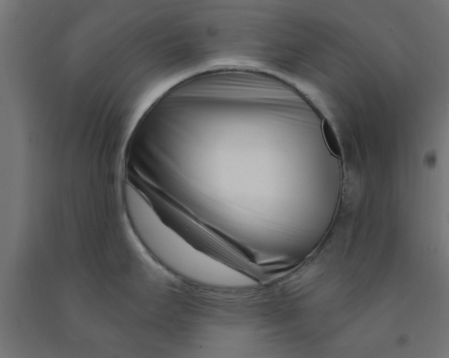 X0000090871295200708241912