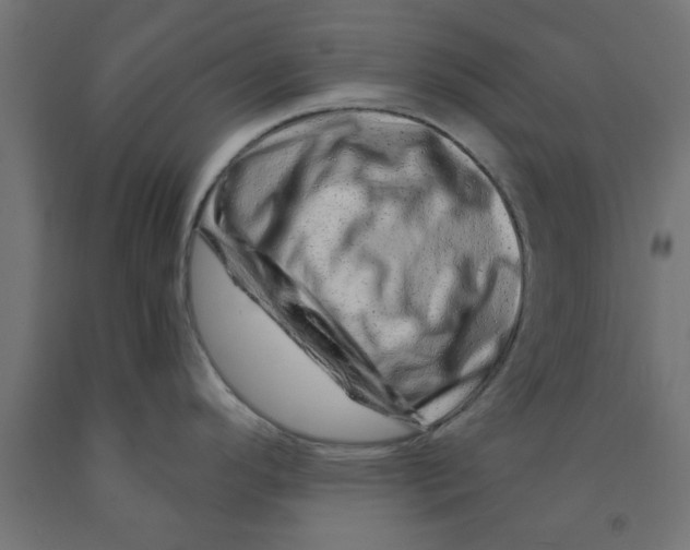 X0000090871296200708241912