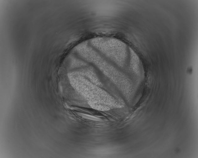 X0000090871297200708241912