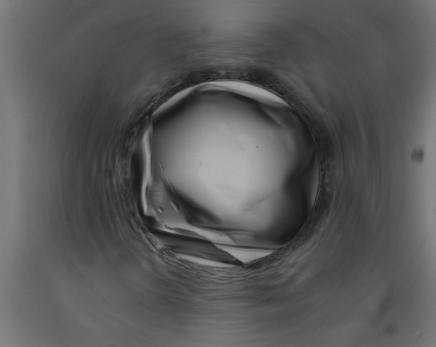 X0000090871298200708241912