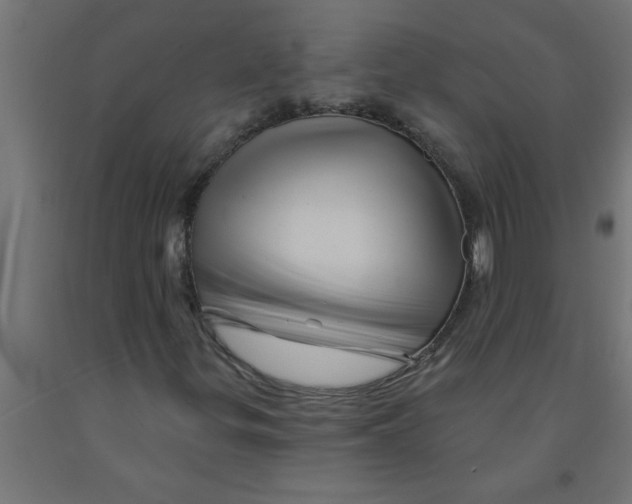 X0000090871299200708241912