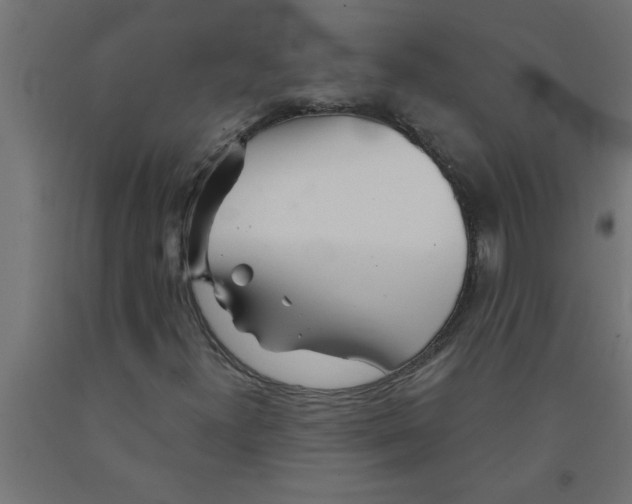 X0000090871300200708241912