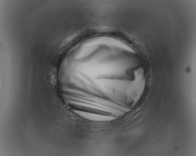 X0000090871301200708241912