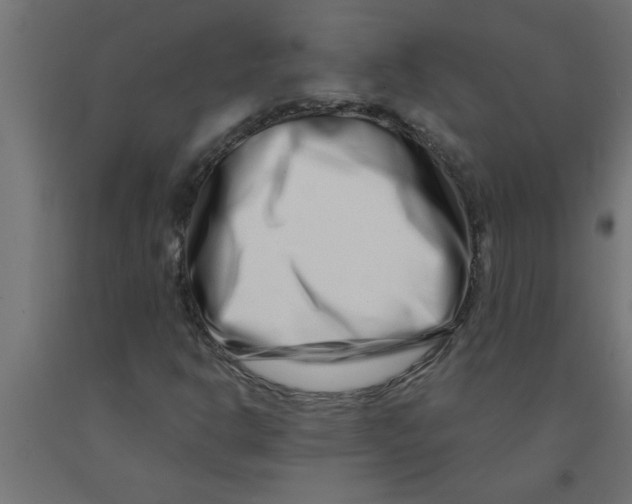 X0000090871302200708241912