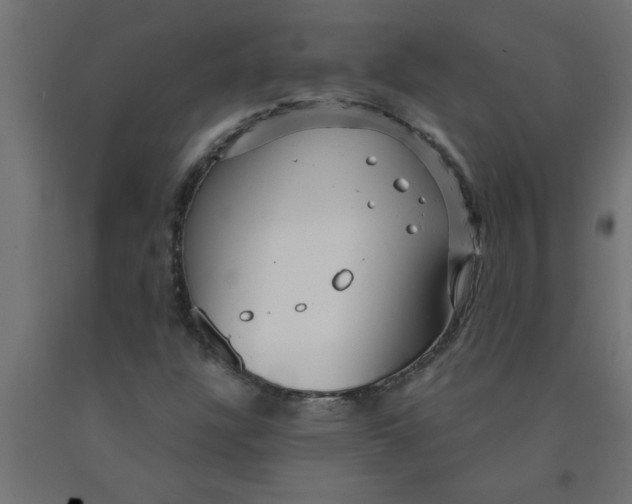 X0000090871304200708241912