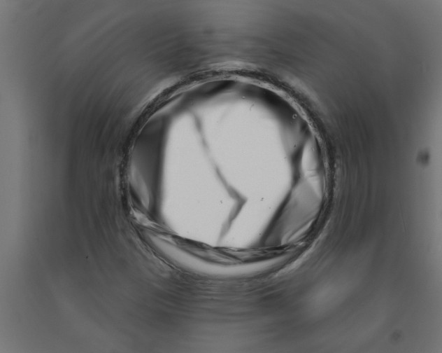 X0000090871305200708241912