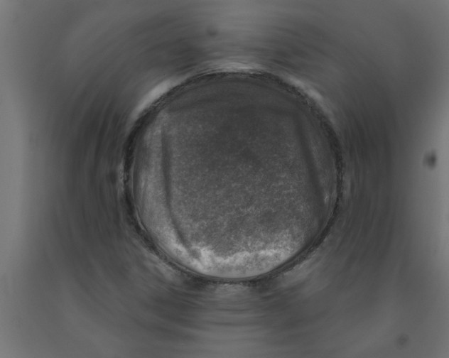 X0000090871306200708241912