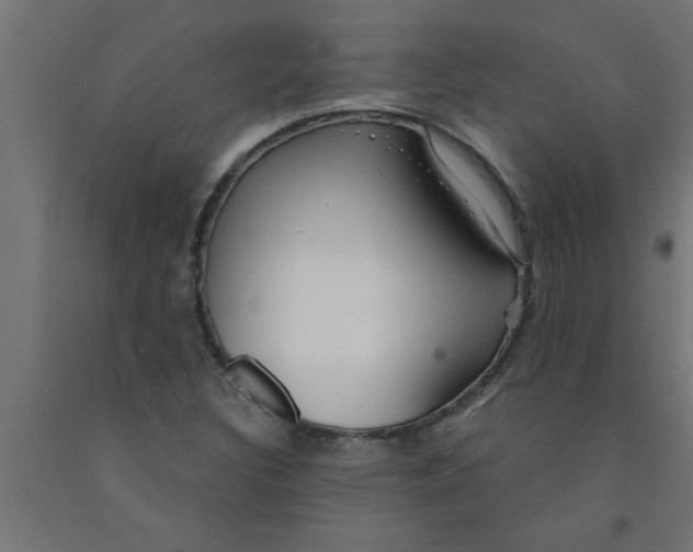 X0000090871308200708241912