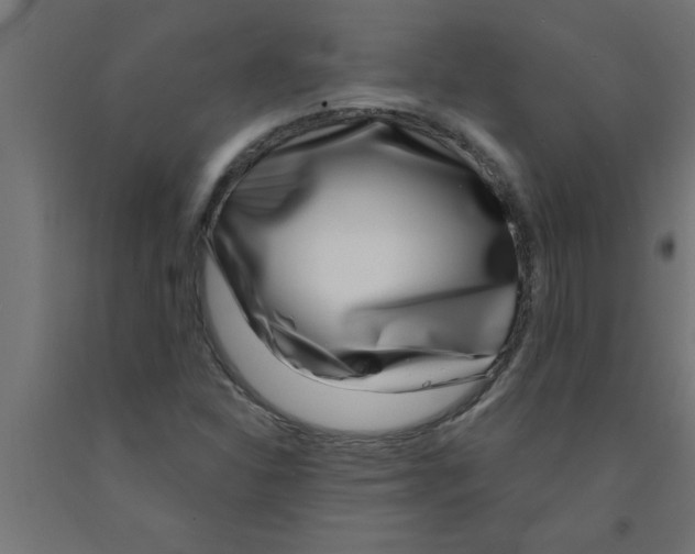 X0000090871310200708241912