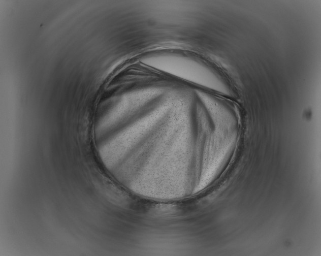 X0000090871313200708241912