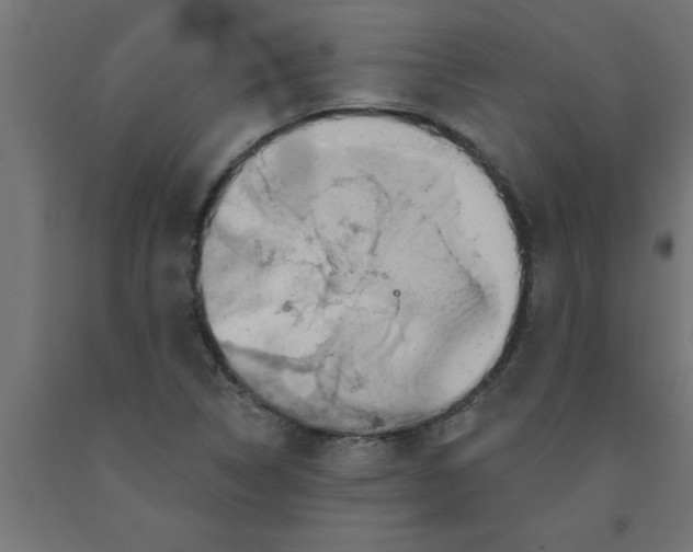 X0000090871314200708241912