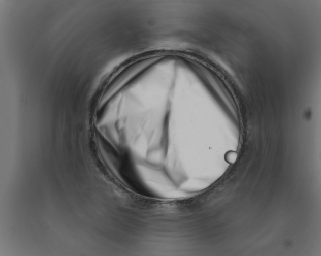 X0000090871315200708241912