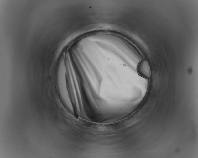 X0000090871318200708241912