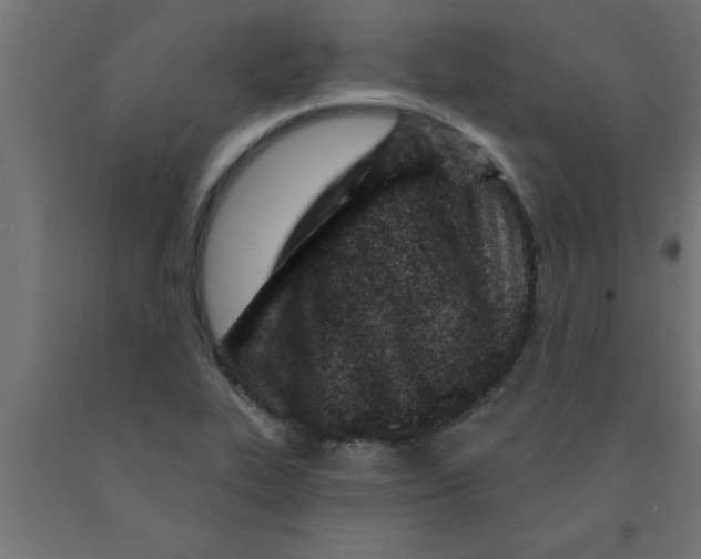 X0000090871319200708241912